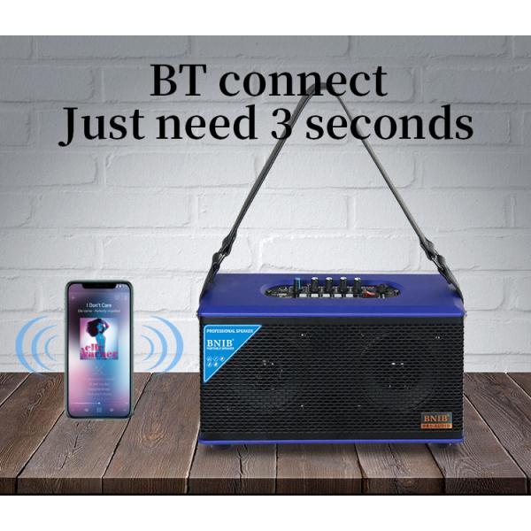 Wooden 5.25 Inch Outdoor Portable Speaker 10m Dual Wireless Bluetooth Speakers