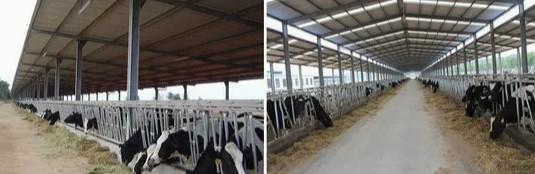 Architecture Standard Prefabricated Steel Structure Frame Workshop