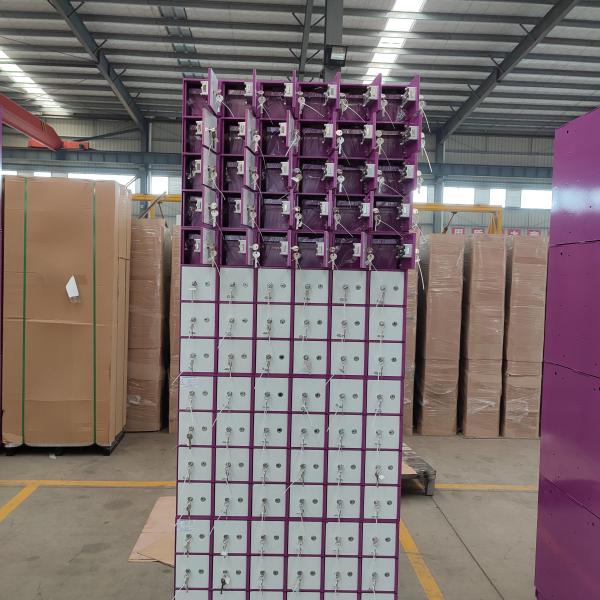 Сейф частного банка OEM с покрытой порошком дверью SS