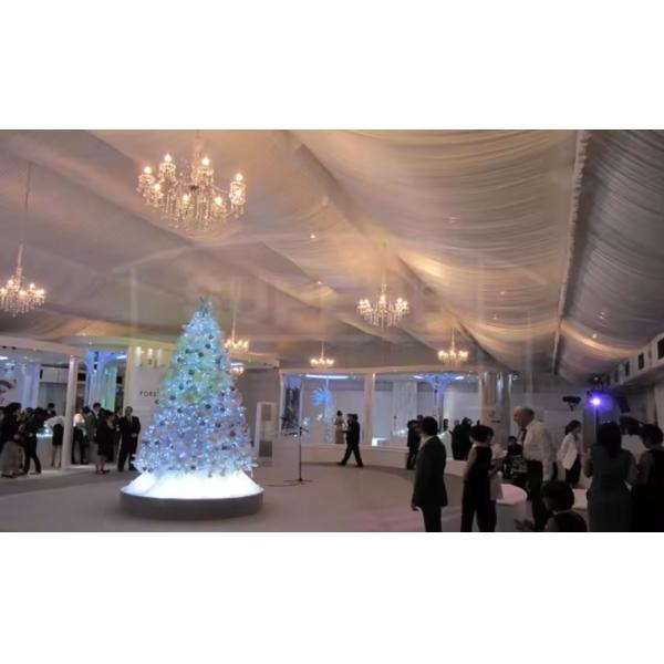 Aluminum Alloy Wedding Ceremony Marquee Clear Tent Luxury Wedding Party Wedding Marquee Tent