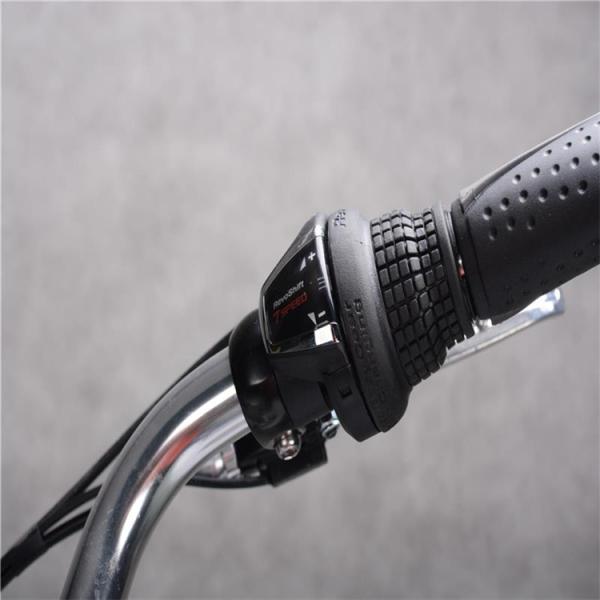 200W Portable Electric Motorized Bicycle 30km/H Fast Speed