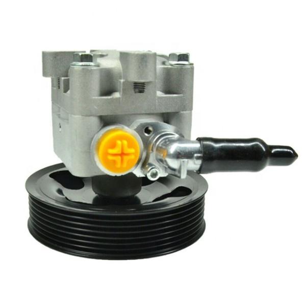 49110-1AA0C Hydraulic Gear Power Steering Pump For Nissan Murano