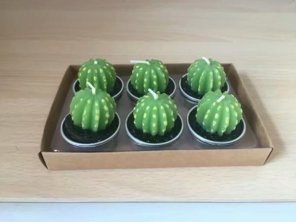 Decor green bonsai plants unscented candle with metal cup and the package of  paper tray and PVC box