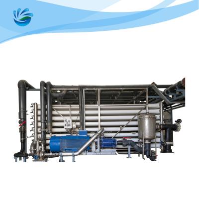 Sistema do RO da dessanilização do Seawater da osmose reversa