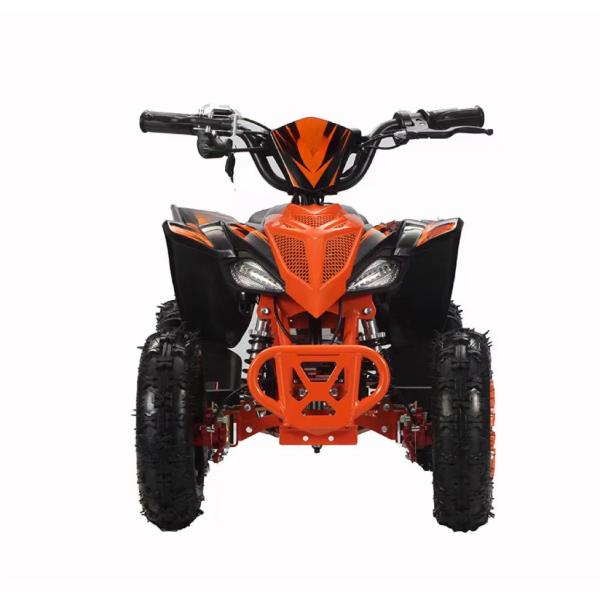 2WD Aotong Motor 800w1000W 36V Off Road Quad ATV Quad Bikes with Chain Transmission
