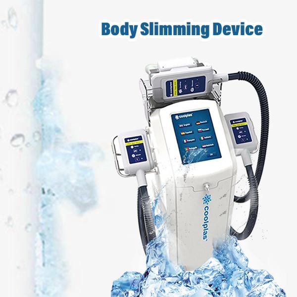 230VAC Cryolipolysis Slimming Machine Weight Loss wind cooling 30cm×40cm×90cm 30kg
