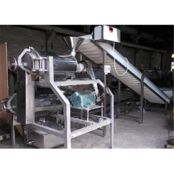 Stainless Steel Fruit Canning Equipment Double Beating Enucleating Machine