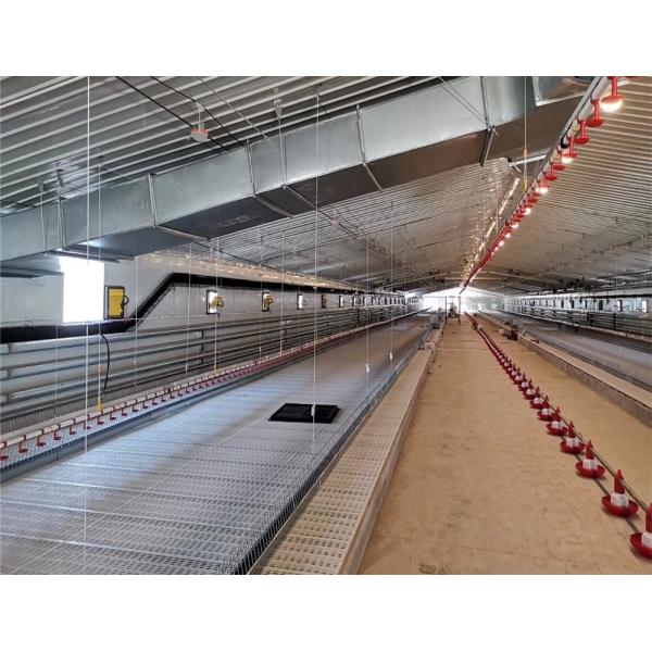 24 PVC отверстий пускает фидеры и системы водообеспечения по трубам цыпленка