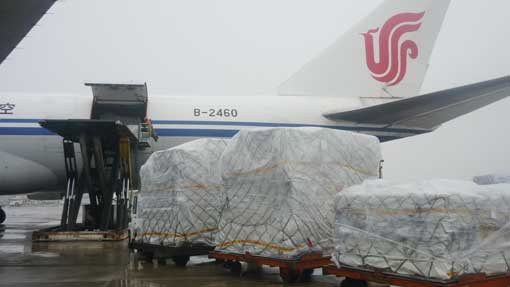 White Polyester Chenille Yarn , 5nm Fancy Knitting Yarn Environment Friendly