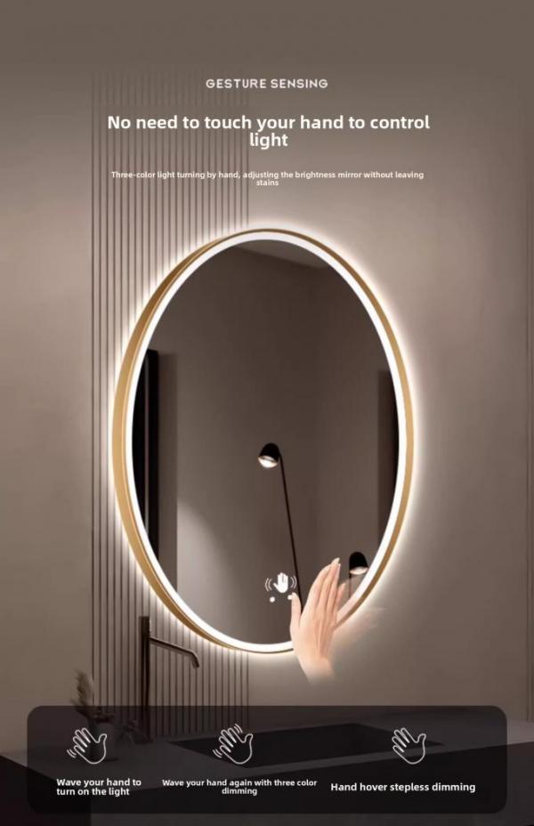 Modern Luxury Smart LED Vanity Mirror Oval Framed with Touch Switch Wall-Mounted Makeup Mirror for Salon Hotel Apartment