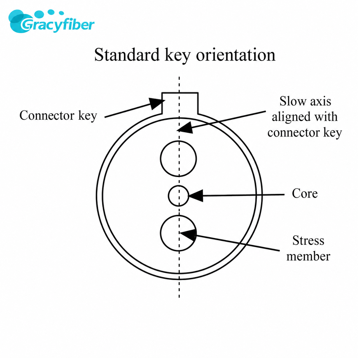 1x16 PM Fiber Splitter 420nm 456nm Polarization Maintaining Fiber Splitter For Multi Channel Systems