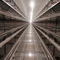 Le type automatique poulet de H de batterie de cage de poulet de couche met en cage pour la ferme avicole
