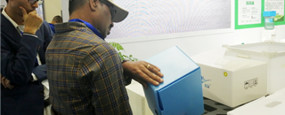 Коробка сота ящиков для хранения Корфлейт брокколи рифленая для плодов