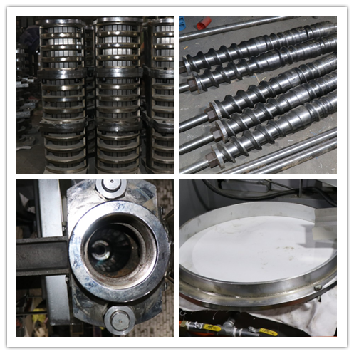 1 Ton Spiral Groundnut Coconut Oil Extraction Machine Low Energy Consumption