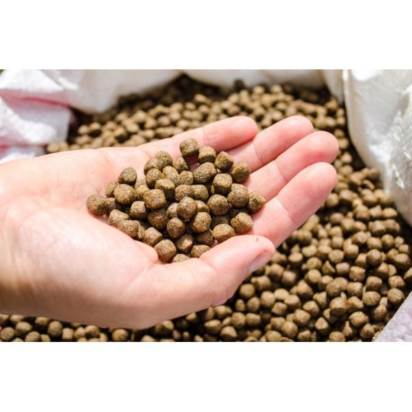 90% Purity Glycerol Monolaurate GML Feed Additives
