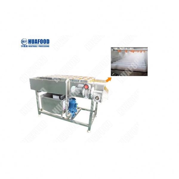 Industrial Vegetable and Fruit Selection Washing and Drying Machine Production Line