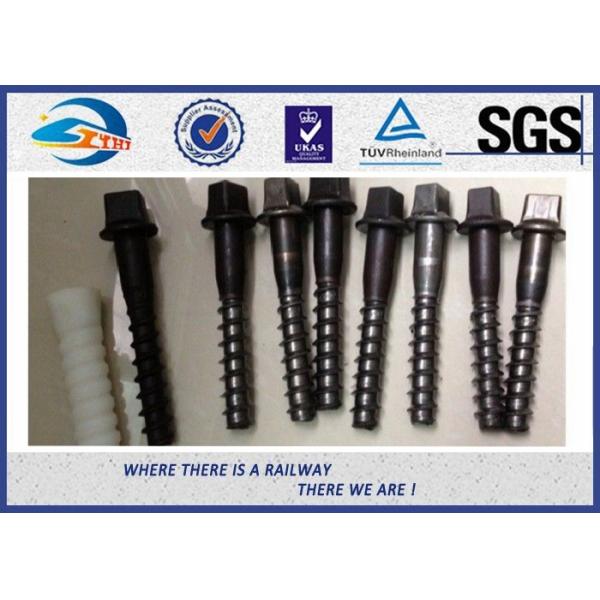 Coach Railway Sleeper Screws Square Head Black Oxide Screws,Coach screw