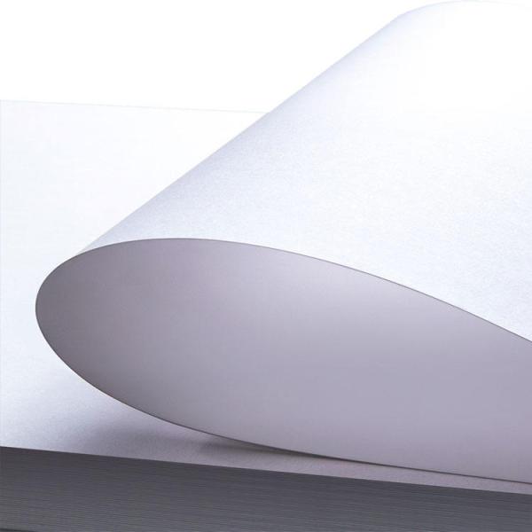 Uncoated White Folding Box Board C1S FBB Jumbo Roll for Eco-Friendly Packaging