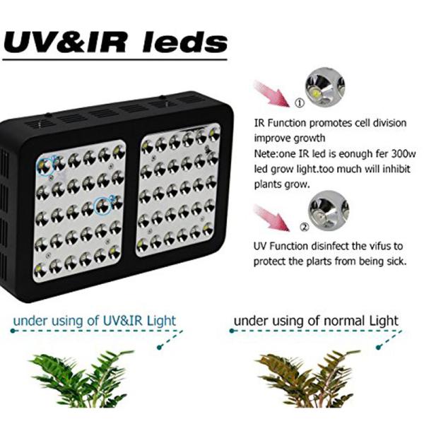 Mirrors Bright LED Indoor Grow Lights 1200 Watt 50/60 Hz 300×195×60 Mm