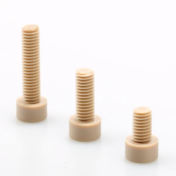 Plain Finish PEEK Plastic Machining Flat Round Head Peek Screw ISO Standard