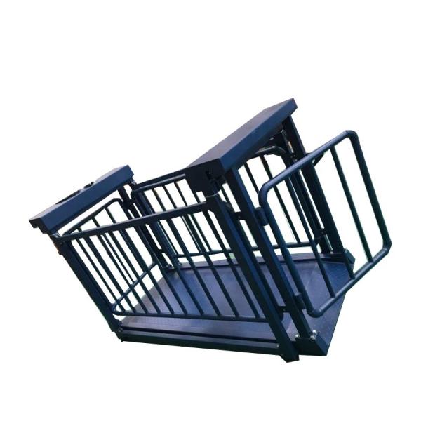 Boîte de jonction en acier inoxydable JB01 Balance électronique de pesage du bétail pour moutons et chèvres 500g Précision OEM ODM Supporté