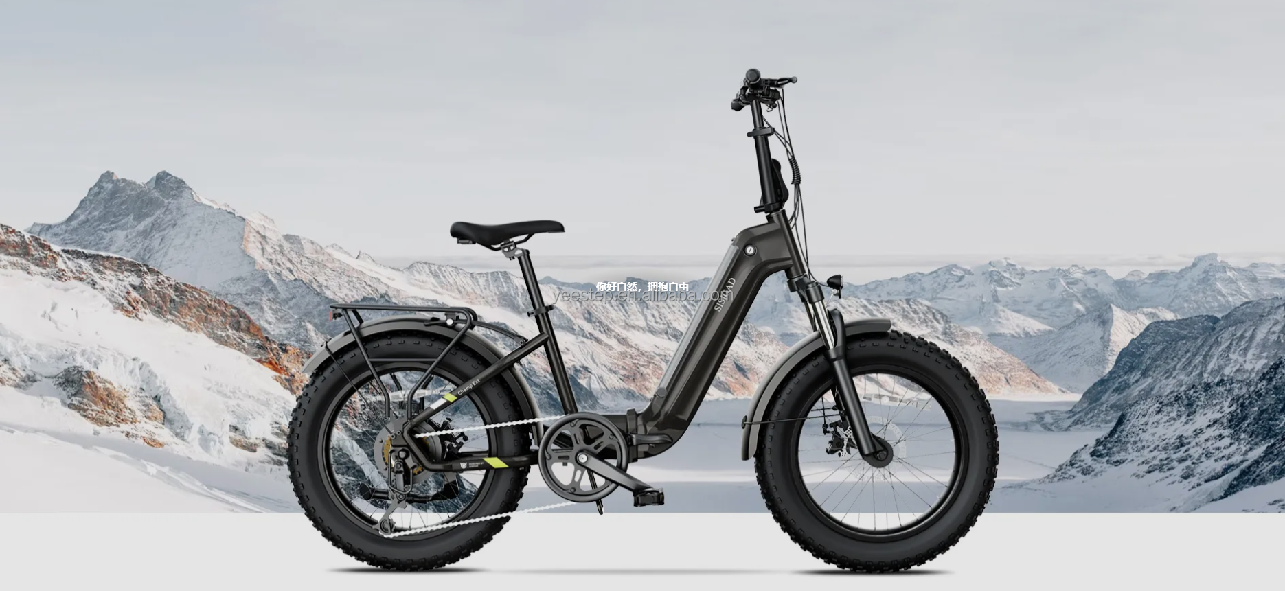 Electric Folding Bike 48V 750W 20x4.0 Fat Tire E-bike Lockable Suspension Urban Foldable Bicycle