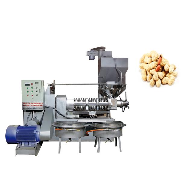 Máquina de processamento de óleo de amendoim de linha de pressão a frio de parafuso Máquina de pressão de óleo