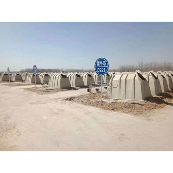 Small Dairy Farm Plastic Calf Hutches With Hot Dip Galvanized Steel Wire Fence
