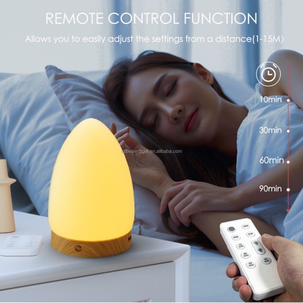 Dimmable Daylight Light Therapy Lamp OEM ODM Daylight Lamp With Timer