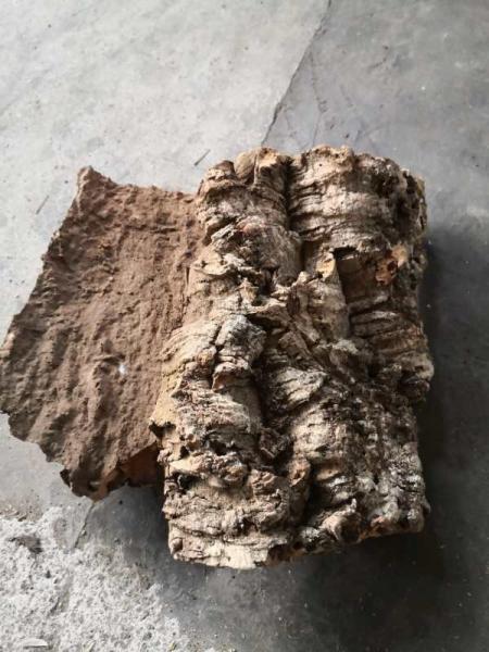 Factory Wholesale 3~4cm thickness Virgin Cork Bark Perfect for Dispalying Air Plants, Bromeliads & Orchids