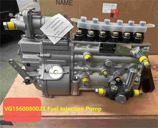 VG1560080023 Assemblage de pompe à injection de carburant Parties de moteur Weichai