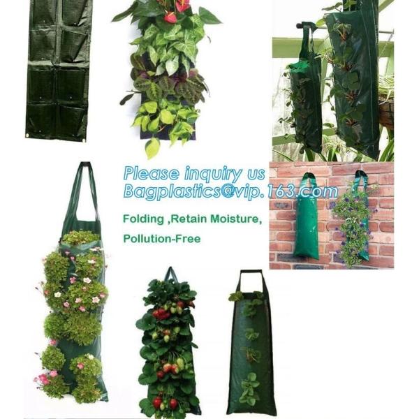 100 дерево тан галлона /200/300 растет сумка 100галлон растут сумка для деревьев завода, овощей растут сумки засаживая сумки растя сумки