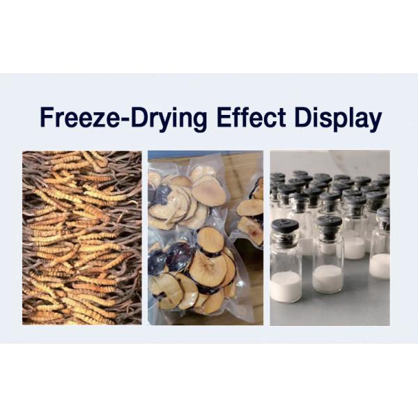 Lab Plant Sublimation Pharmaceutical Dryers 2L/S With Touch Screen