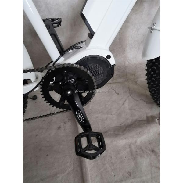 Adult Fat Tyre Cycle E Ebike Electric Bike 48V 1000W 21A Central Mid Drive Motor 26 Inch