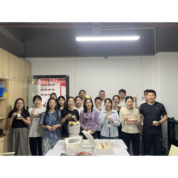 Shenzhen LDK Industrial Co., Ltd.