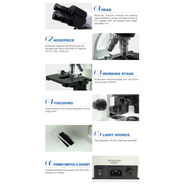 Student Optical Compound Microscope A11.1535 With LED Light Source , WF10X/18mm Eyepiece