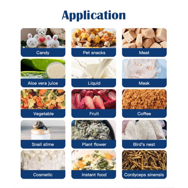 5M2 9-слойный коммерческий фризосушильщик лиофилизатор вакуумный фруктовый фризосушильник