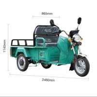 2000W Sidecar Adult Electric Tricycles