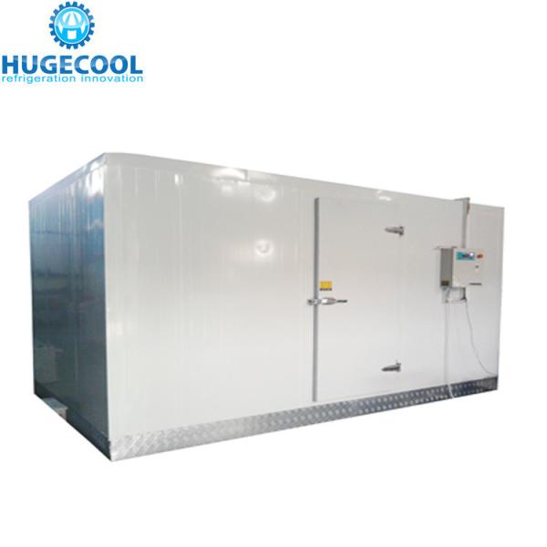 10 Chambre froide sur mesure pour les fruits de mer pour le stockage de viande surgelée Méthode de refroidissement Refroidissement par air