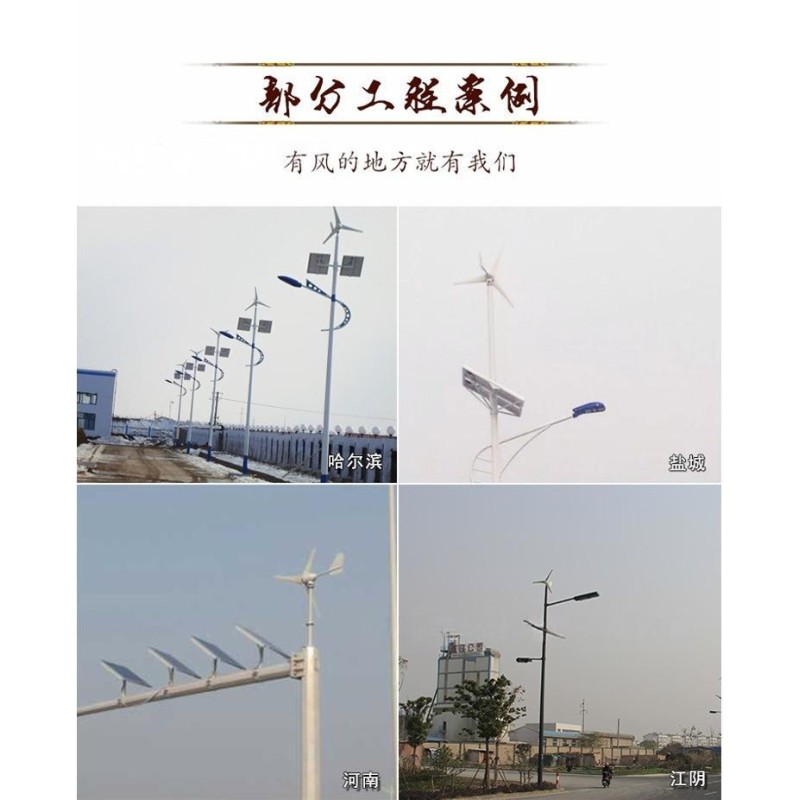 1000W Horizontal Axis Wind Turbine SR‑W10 48V/96V Home Use Wind Power Generator