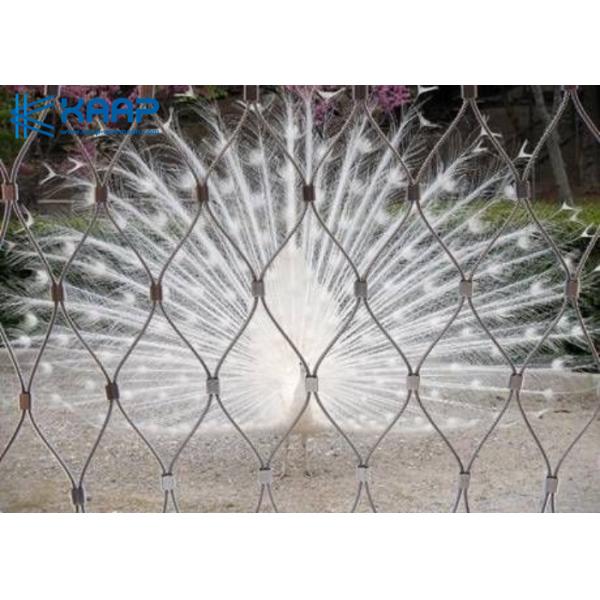 Сплетенная нержавеющей сталью ячеистая сеть с Феррулес