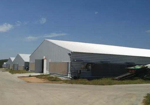 Q235B Q355B Economical Steel Structure Warehouse Prefabricated Steel Buildings