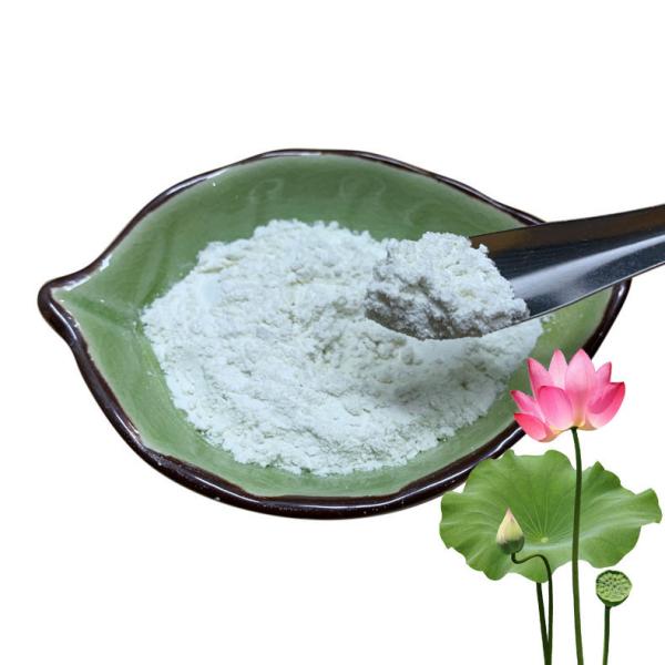 Functional Lotus Leaf Extract 10% 50% 98% Nuciferine Powder Pharmaceutical Grade