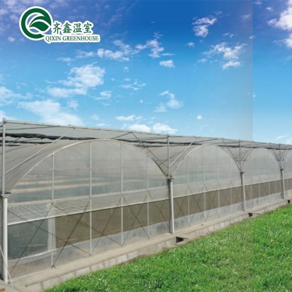 Greenhouse Aquaponics Hydroponic Growing System with Cooling and Ventilation Options