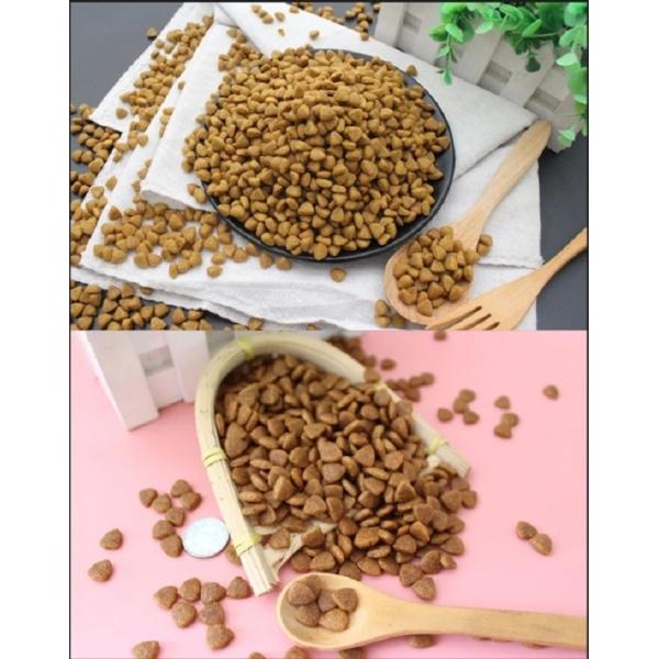 Capacidade de aço inoxidável da máquina 250kg/h da extrusora das fábricas de tratamento dos alimentos para animais de estimação