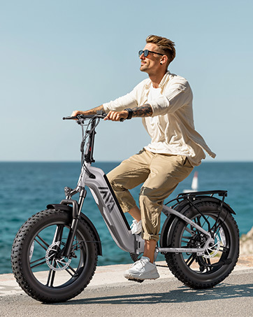HovBeta F008 48V 20 Foldable Fat Tire E-bike with 7-Speed Rear Hub Motor Lithium Battery Aluminum Frames Fashion Design