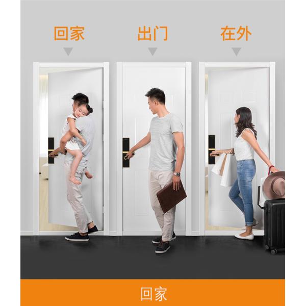 Fingerprint Intelligent door lock digital door lock keyless touch lock Biological fingerprint lock