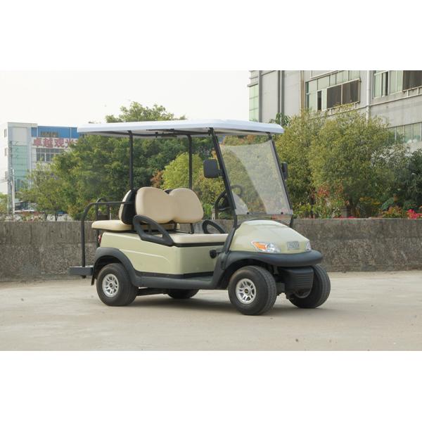 2 Seats+2 Foldable Rear Seat Electric Golf Cart 48V Lithium Battery 30% Climbing Ability