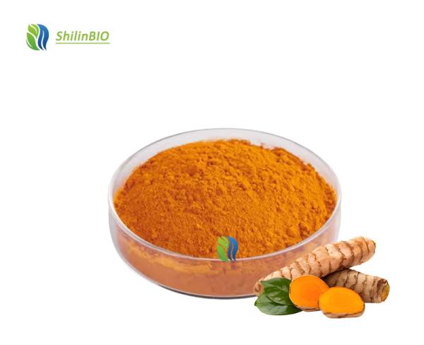 Pure Turmeric Powder Curcuma Longa Extract Turmeric Root Extract  95% curcuminoids Curcumin Powder