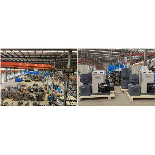 22kw Feed Pellet Mill 300kg/H Animal Feed Pellet Making Machine